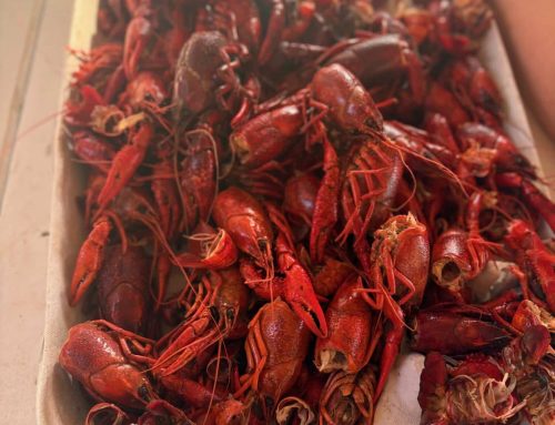 2026 Annual Crawfish boil